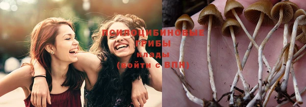 гашиш Аркадак