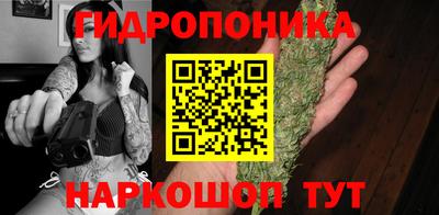 спайс Аргун