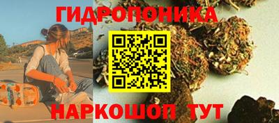 ПСИЛОЦИБИНОВЫЕ ГРИБЫ Аргун