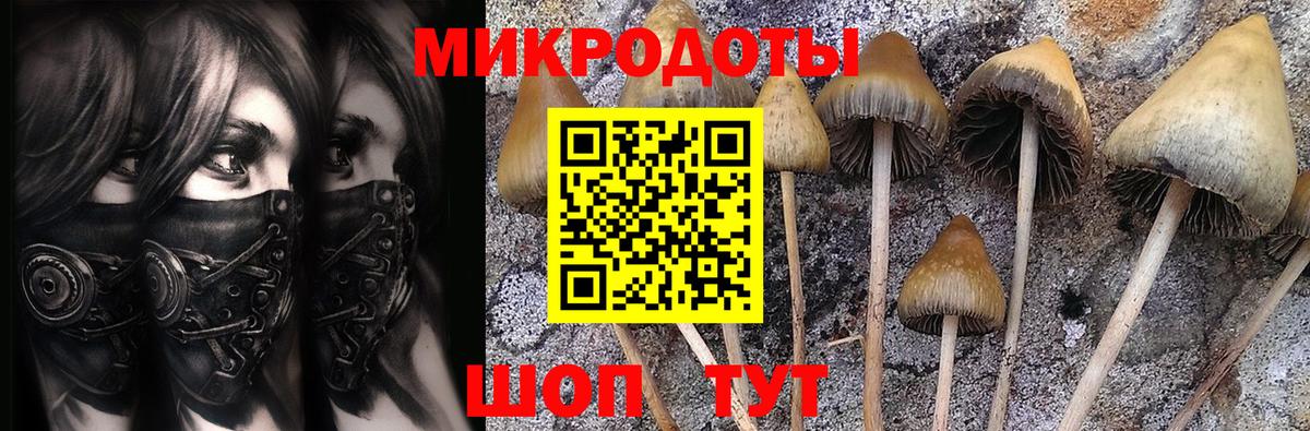 Галлюциногенные грибы Cubensis  Вход с VPN  Бахчисарай 