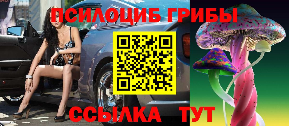 Псилоцибиновые грибы прущие грибы  Бахчисарай  Галлюциногенные грибы прущие грибы 